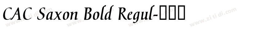 CAC Saxon Bold Regul字体转换